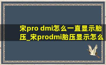 宋pro dmi怎么一直显示胎压_宋prodmi胎压显示怎么设置